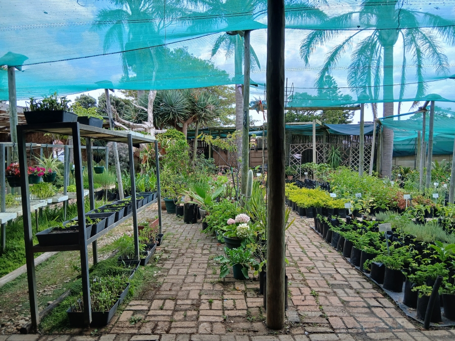 Commercial Property for Sale in C Place Eastern Cape